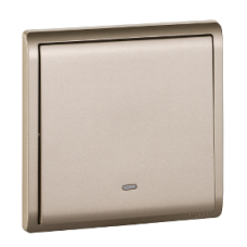 16AX 250V 1G 2W SW W/FLOU ,WG 